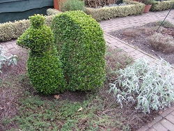 Boschhhoeve